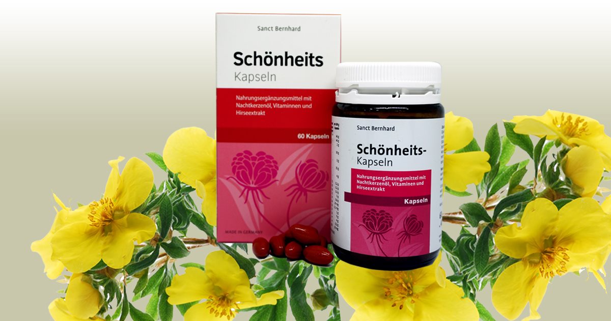 CÔNG DỤNG TUYỆT VỜI CỦA DẦU HOA ANH THẢO VỚI CƠ THỂ